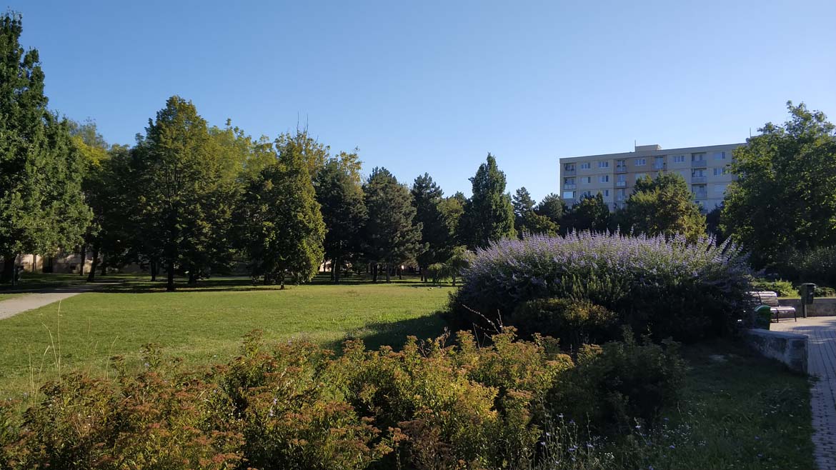 koseny-nekoseny-travnik-september-ostredky-park-zelen-v-meste-pavlech-architekti